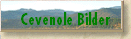 Cevenole Bilder