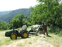 Heuernte mit Micro-Traktor