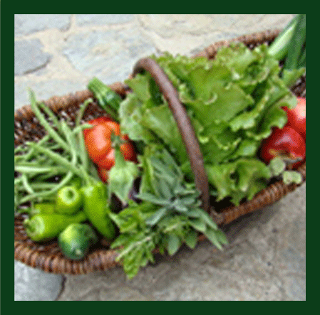 Gem�sek�rbe mit Bio-Gem�se aus eigener Produktion